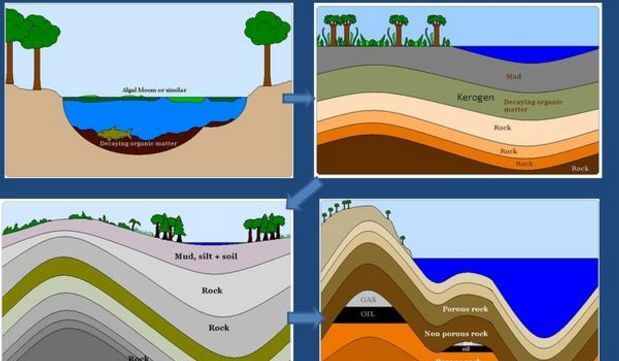石油是怎么形成的?地球上为什么那么多石油?