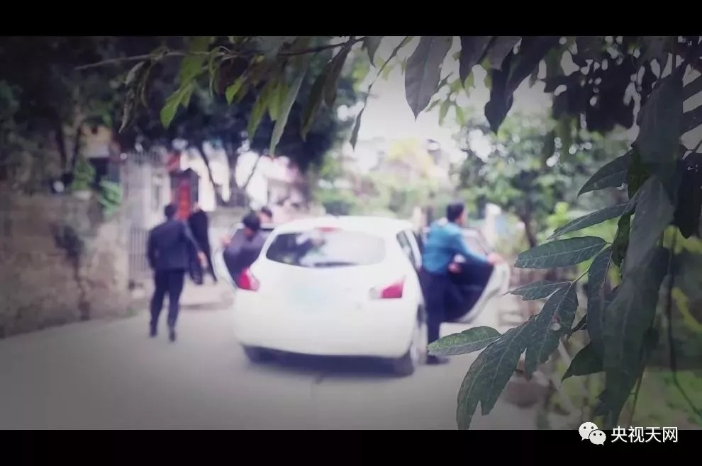 央视《天网》:九里十三弯——兴义交警破案纪实