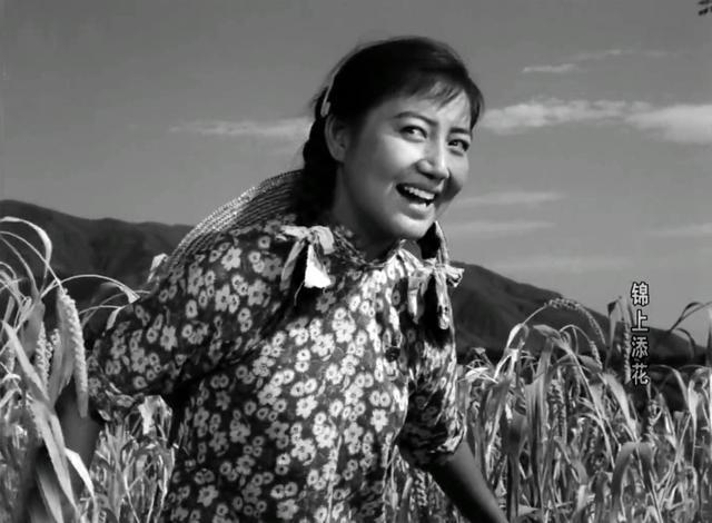 我想,若不是后来发生了一些变故,李长乐能红到一线大咖的程度,也说不