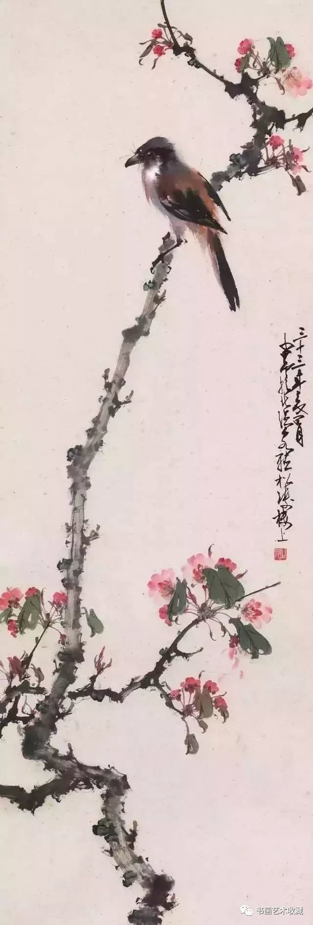 花鸟画|八大画派，30位现代名家最赏心悦目的花鸟画！