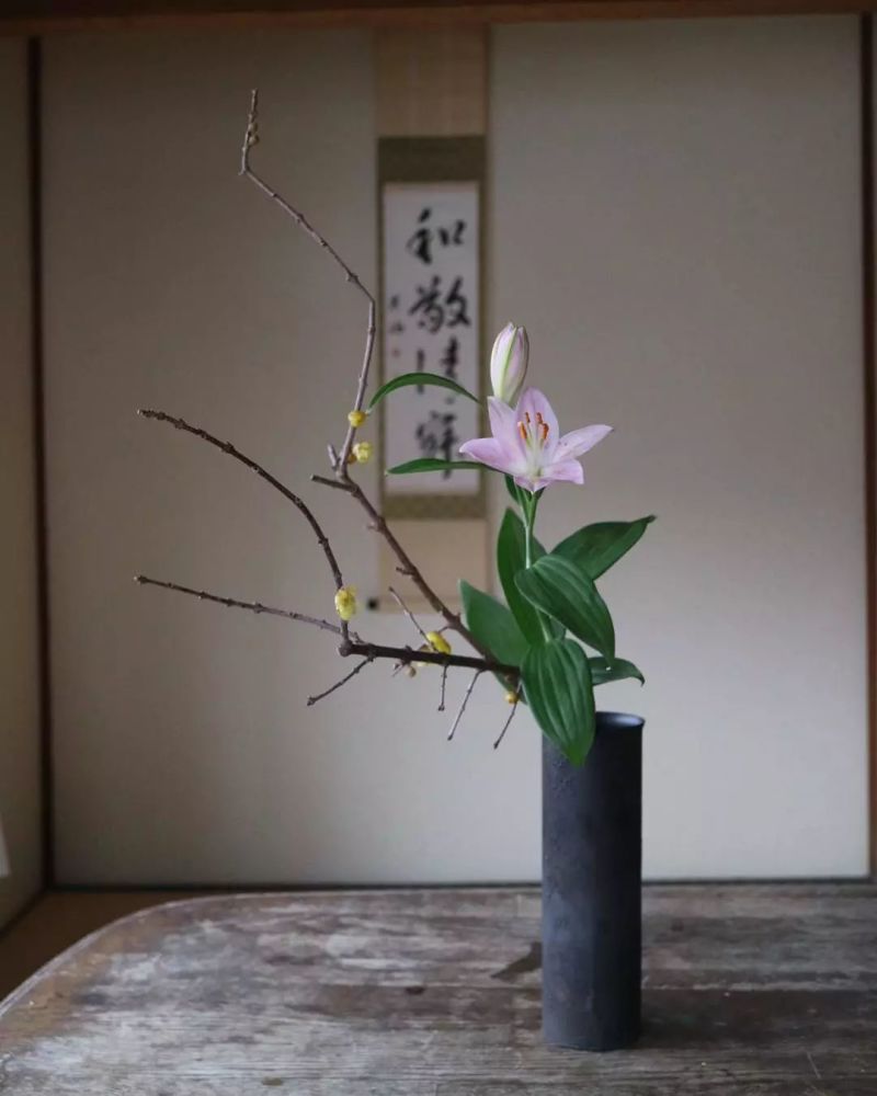 禅意插花感受东方艺术之美