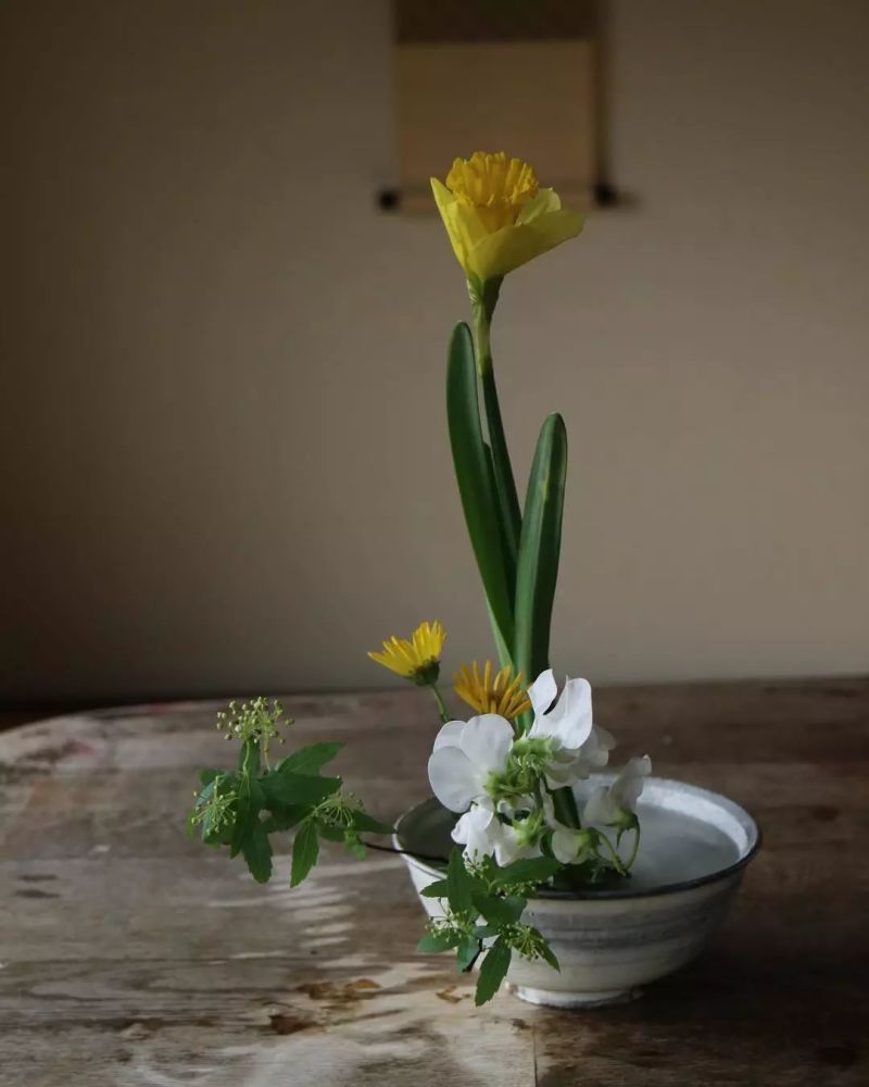 禅意插花作品集每日花艺灵感626