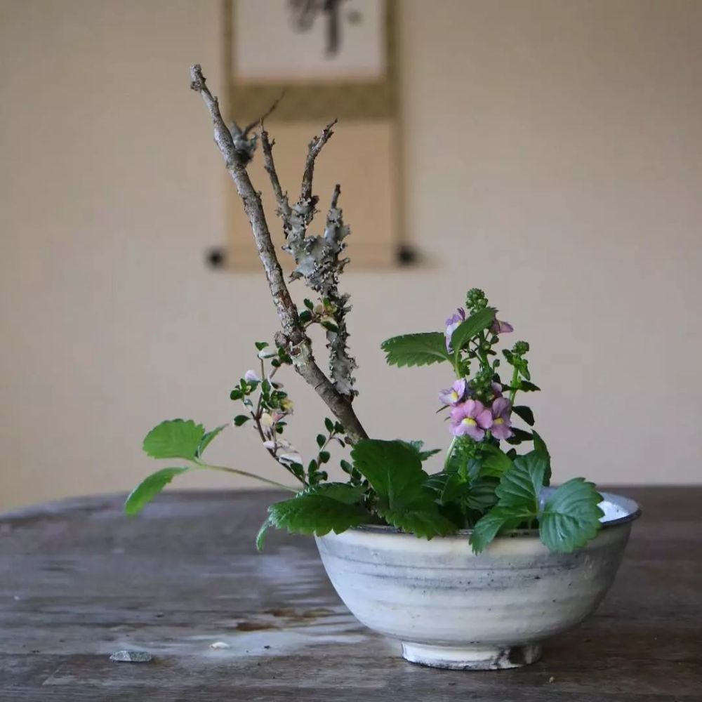 禅意插花作品集每日花艺灵感626