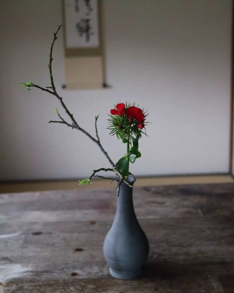 禅意插花作品集每日花艺灵感626