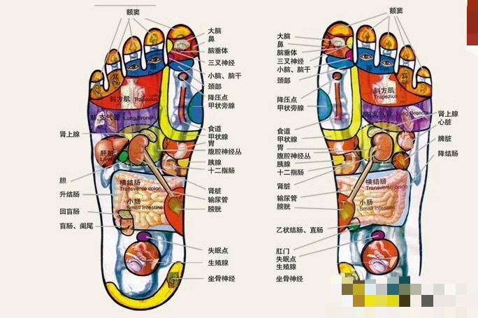 《妻子2》嘉宾大谈养生,靓靓搓脚治感冒,谢娜还附赠治颈椎妙方