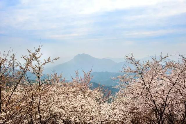 隱水洞,古民居,大幕山