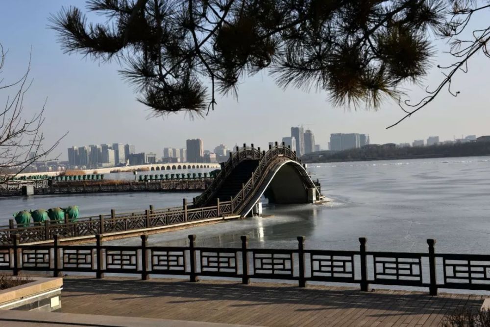 銀川閱海公園白天和黑夜不同的美夏季就是要賞夜景