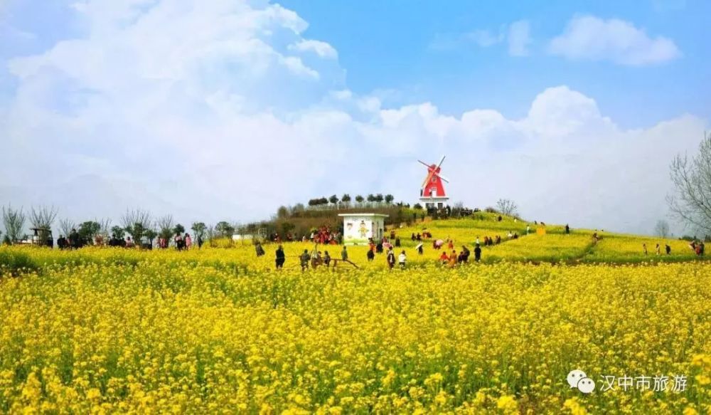 王道池观花点位于汉台区皇塘村 自汉中油菜花节举办以来 一直都是