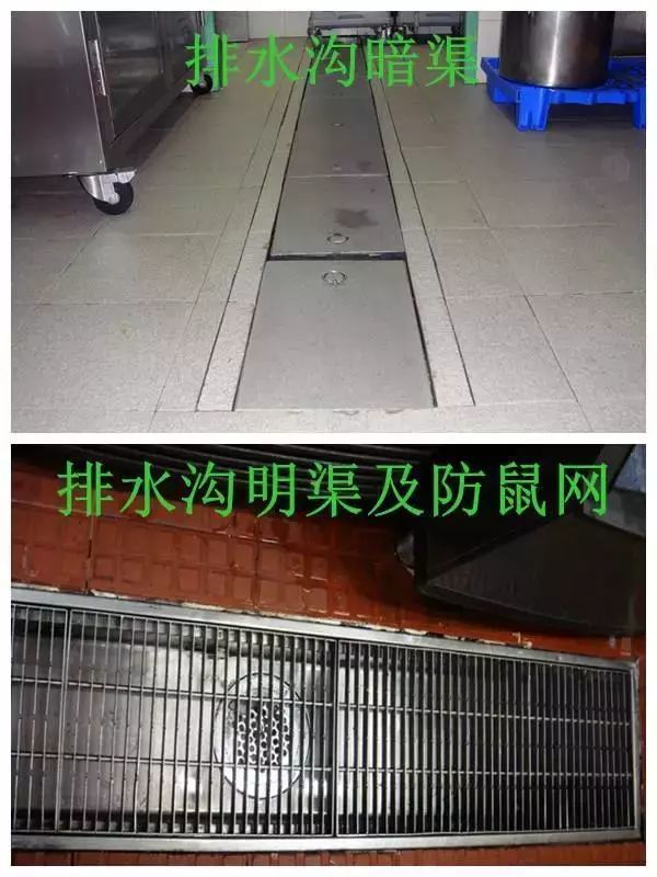 涨知识餐饮场所如何防鼠