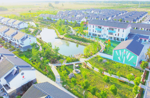 王集镇|睢宁县|鲤鱼山庄|央视