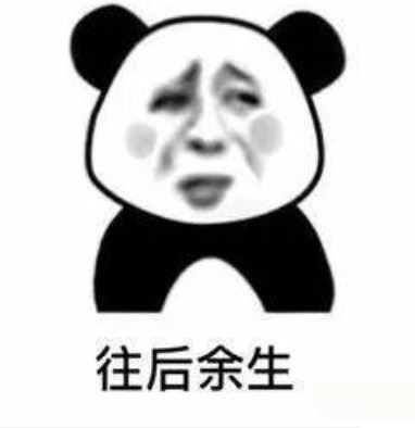 高清无水印熊猫头专用表情包:你可真skr小机灵鬼儿!