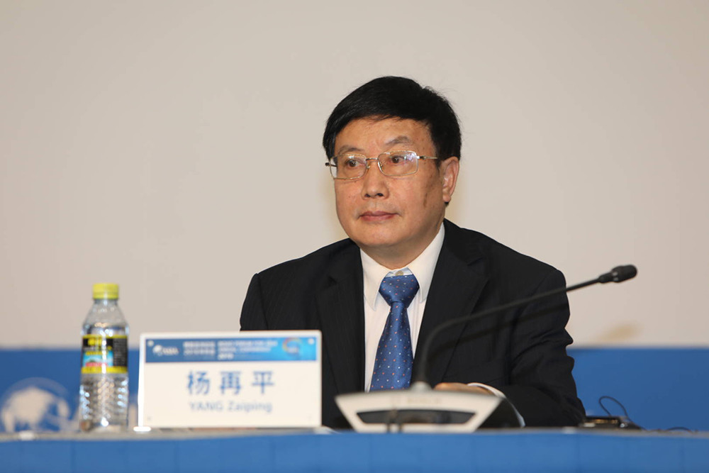 杨再平:西亚国家有必要放松监管积极引入