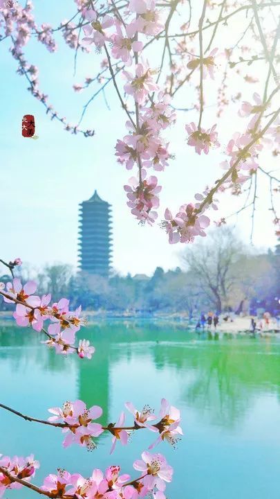 太励志我不敢看…几张非常实用的手机壁纸!高中生都收藏了!