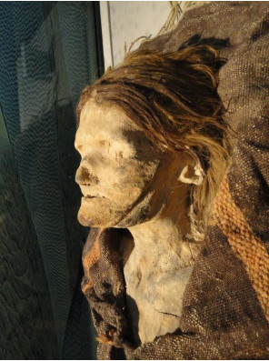 木乃伊,考古学家,小河公主