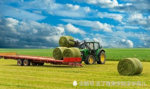 河北各县经济排名_河北2020年上半年县域经济高质量发展排名出炉邢台(2)