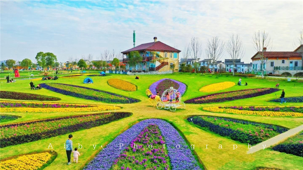 武漢花博彙是華中地區花海景觀種植面積最大,唯一的四季賞花景區,武漢