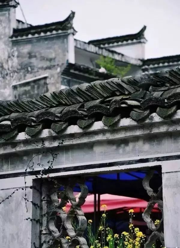 青砖黛瓦,藏不住的人间故事