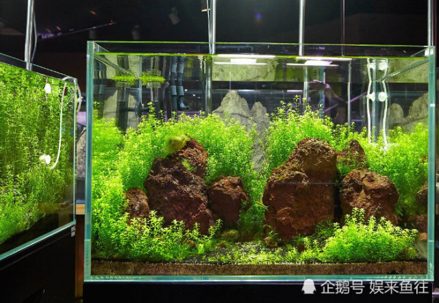 腾讯内容开放平台