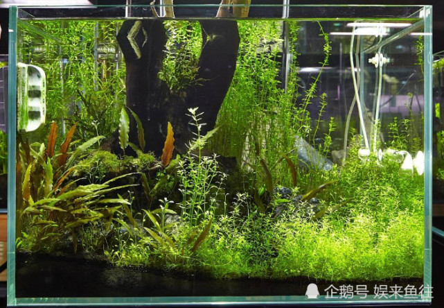 腾讯内容开放平台