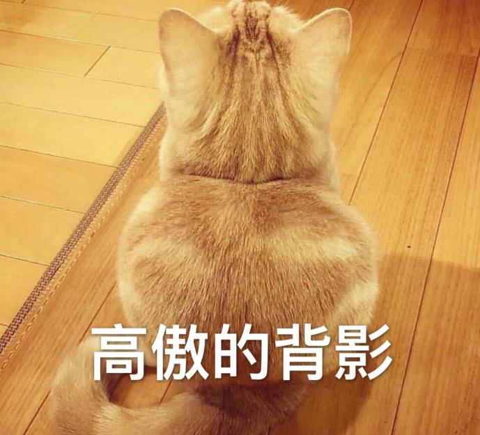 表情包:一身傲骨,哼