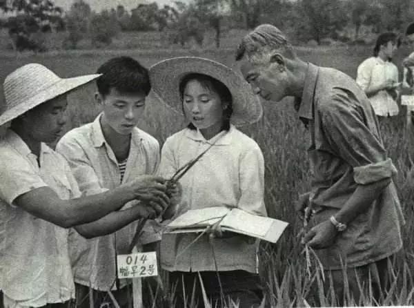 五一劳动节旧照片