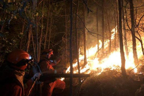 公务员职务职级并行规定印发:基层科员怎么升