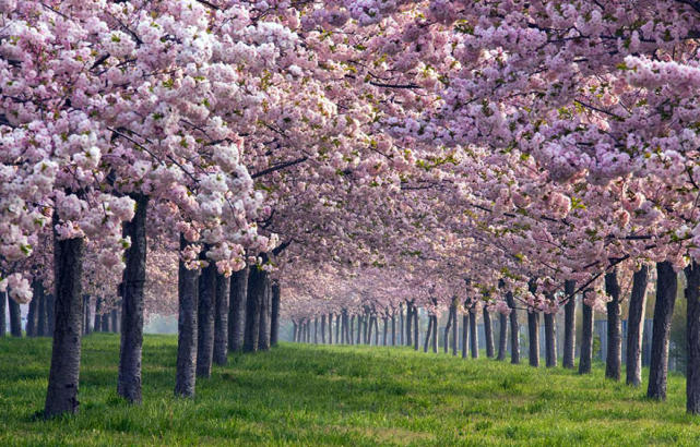 腾讯内容开放平台