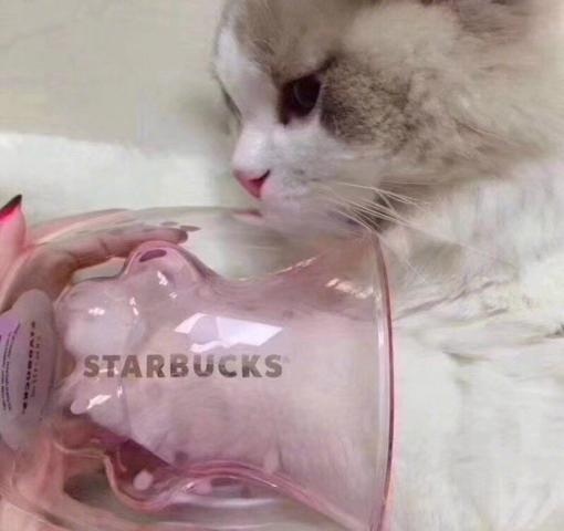 猫爪杯已out!最近火了漫威联名灭爪杯造型太