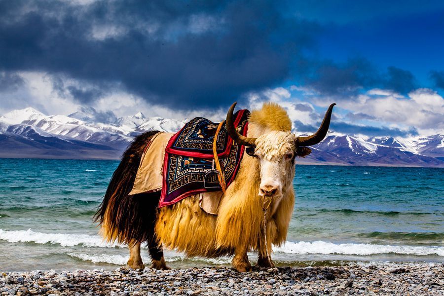 如何在北京开一家旅行社怎么办理手续?