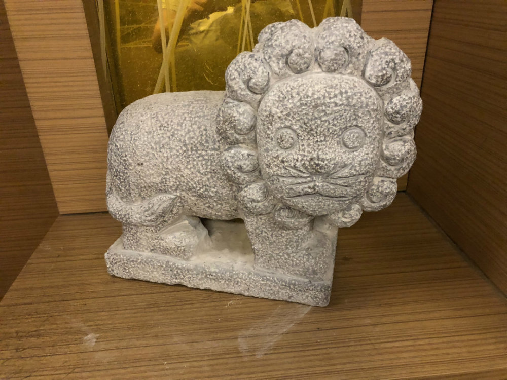 网红王村村生活悖论:我确实需要观众…但我