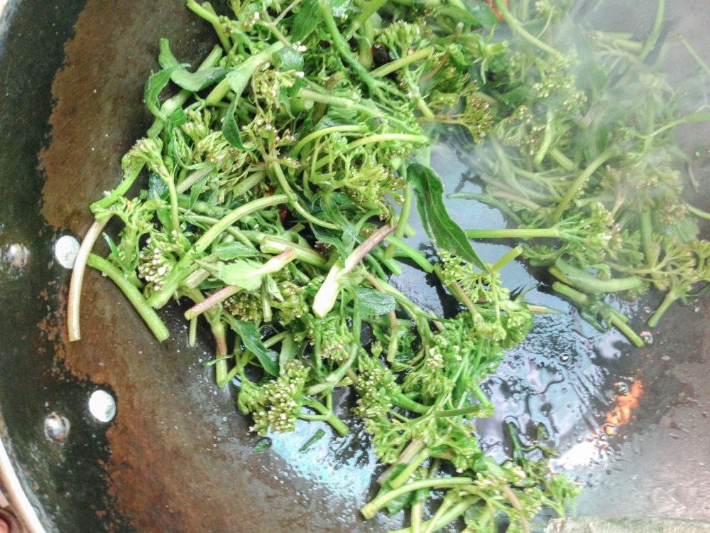 山里一种鸡屎味野草,越臭老农越喜爱,价值珍贵,人称"土黄连"