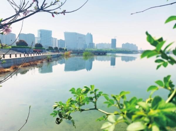 春风又绿淇河岸 鸟儿呢喃诠释人与自然的和谐