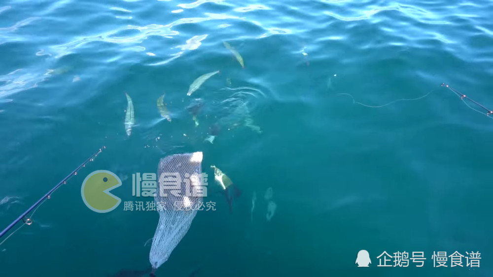 女子去钓鱼没带鱼饵 当她钓上一条大鱼 网友 这招太聪明了