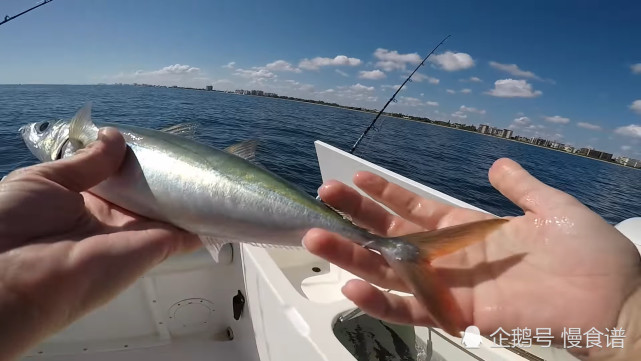 女子去钓鱼没带鱼饵 当她钓上一条大鱼 网友 这招太聪明了 钓鱼 去钓鱼 大鱼