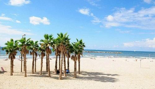 刚从以色列旅游回来,向你讲述和以色列有关的