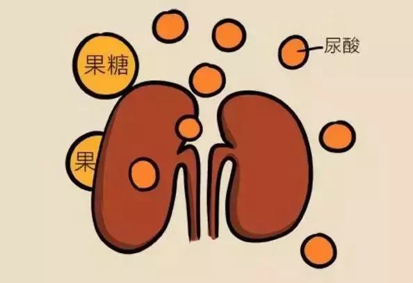 尿酸|36岁男子，尿酸高达850，突发肾衰竭入院，这2种东西害人不浅
