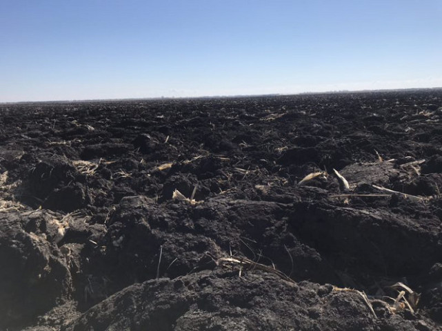 尤其是"震业农业"拥有广袤的黑土地,无论是土壤结构还是地理纬度,都是