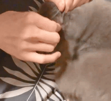 主人给猫咪抠耳朵,看到抠出的东西不淡定了,网友:你是魔鬼吗?