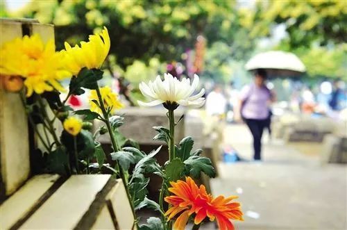 堅持分時分批分區域錯峰原則,有序開展祭掃活動.