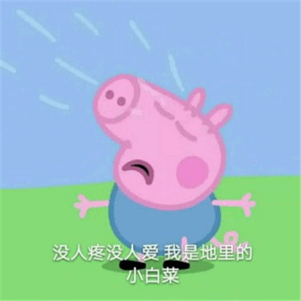 我却没人口是什么意思_我姓龚却什么的图片