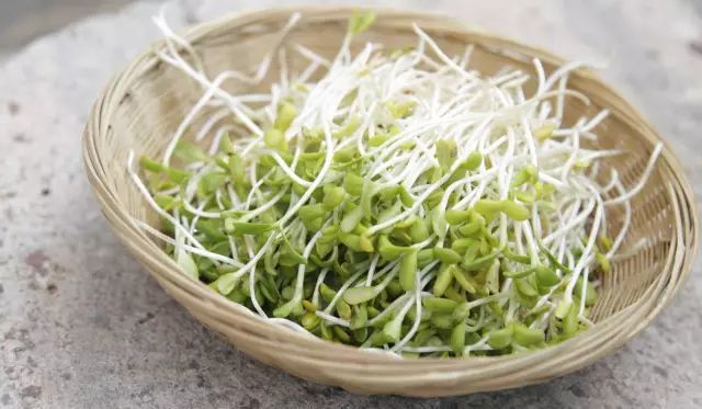 春天吃芽菜美味养生附菜谱