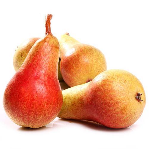 梨种类知多少,24种梨配图看你见过几种?