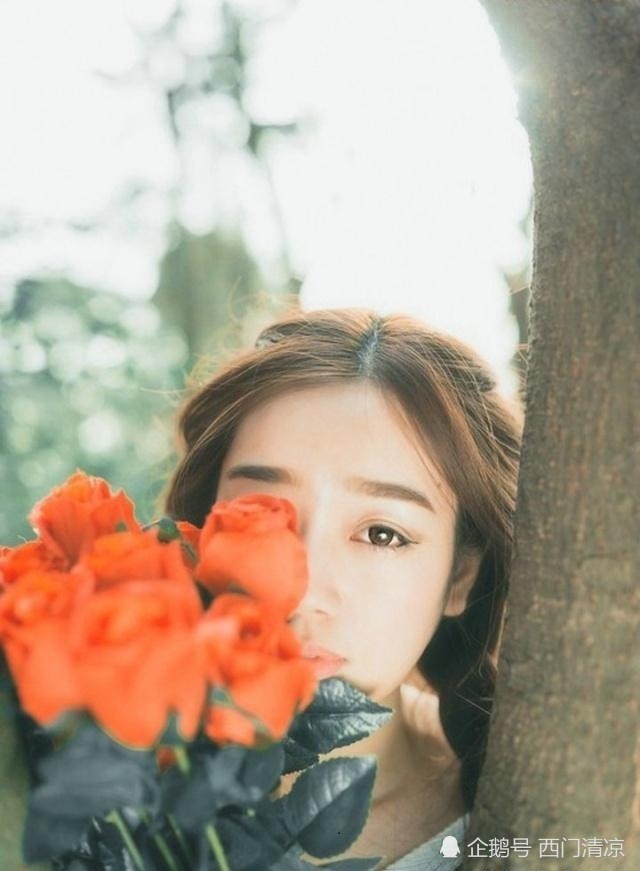 心高气傲,总觉得自己无比优秀,容易骄傲,不肯认输的3星座