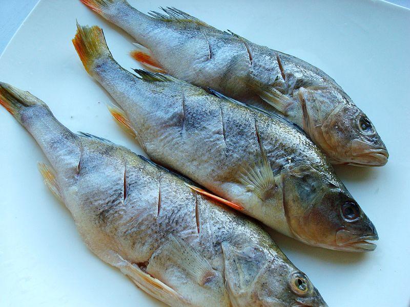 主料:五道黑3条,油豆皮50克 辅料:植物油,盐,姜10克,香葱2根,花椒粒2