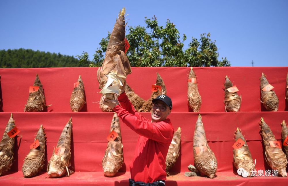 年度"笋王"横空出世!整个龙泉上垟都沸腾了