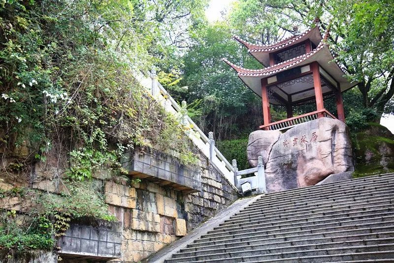 再見三明麒麟山公園