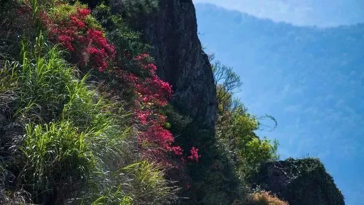 山之中有一處看起來像天湖的地方它就是沙溪水庫已知廈門海拔最高的