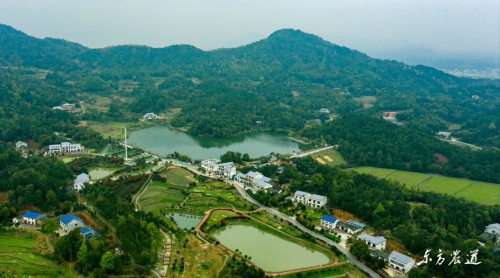 湖南省乡村旅游重点村长沙县开慧镇锡福村