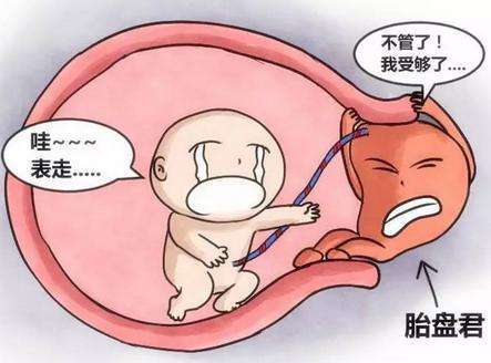 生完孩子后，你的胎盘拿回来了吗？，这些处理方法你都知道吗？