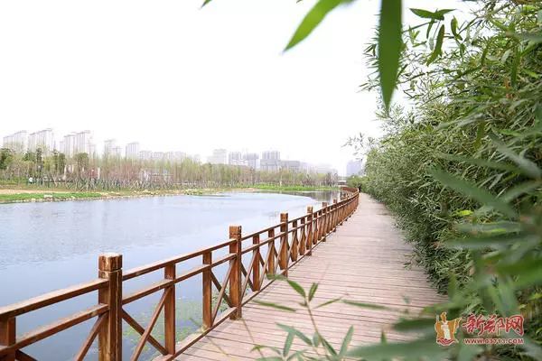 新郑又一国家级湿地公园将于6月对外开放先睹为快